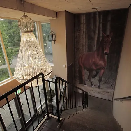 Human & Horse 3*
