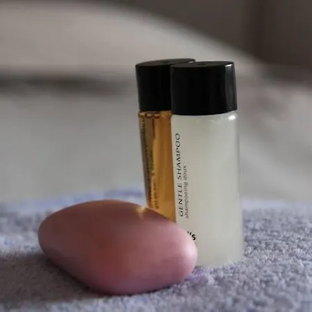 Human & Horse 3* Kootwijkerbroek