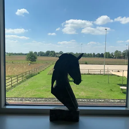 Otel Human & Horse 3*