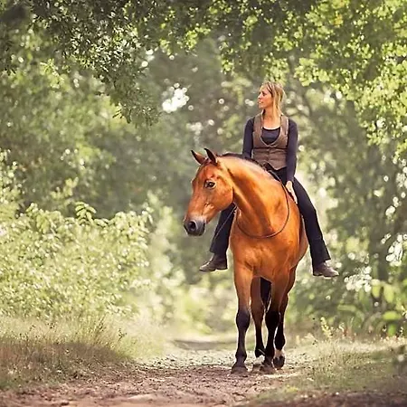 Human & Horse 3* Kootwijkerbroek
