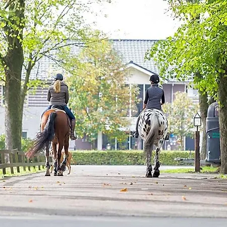 Human & Horse 3*