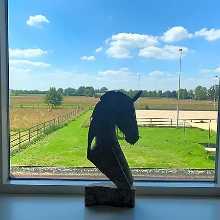 Human & Horse 3* Kootwijkerbroek