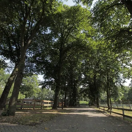 Human & Horse Hotel 3*