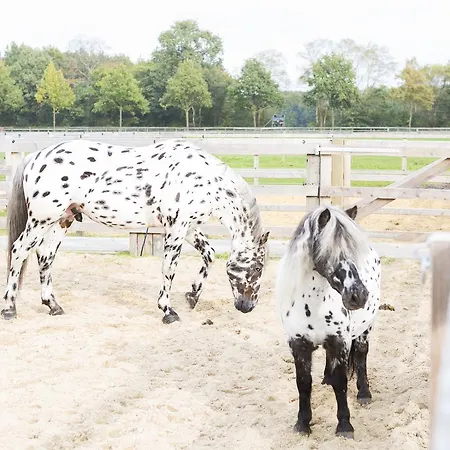 Human & Horse Kootwijkerbroek