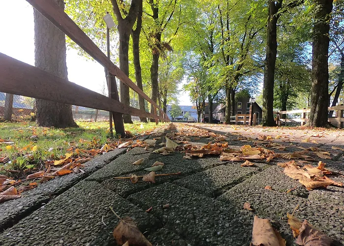 ホテル Human & Horse