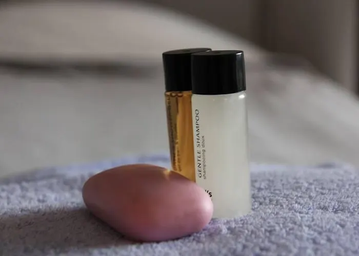 Human & Horse 3* Kootwijkerbroek