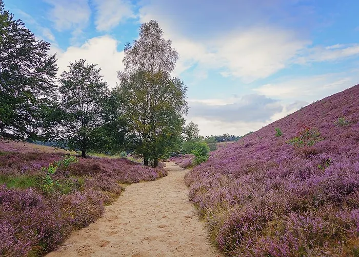 ホテル Human & Horse 3*