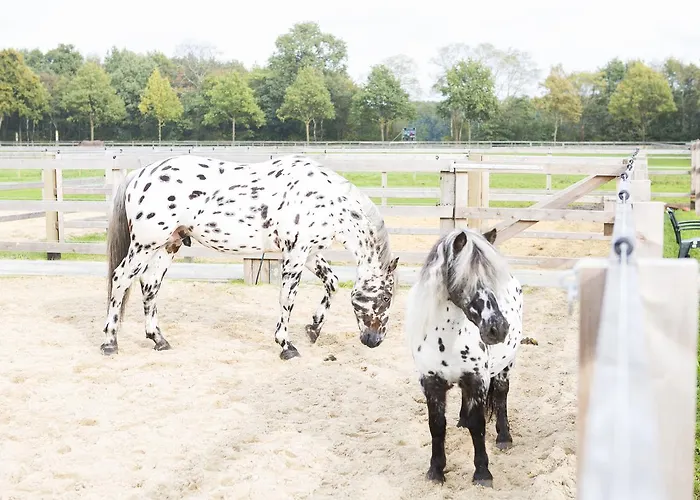Human & Horse Kootwijkerbroek