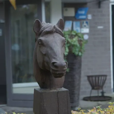 Human & Horse