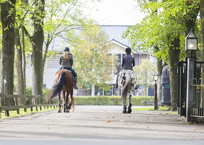 Human & Horse 3* Kootwijkerbroek